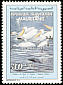 Great White Pelican Pelecanus onocrotalus  1994 Birds of Banc dArguin 
