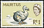 Dodo Raphus cucullatus †