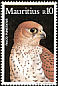 Mauritius Kestrel Falco punctatus  1984 Mauritius Kestrel 