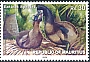 Dodo Raphus cucullatus †