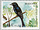 Mayotte Drongo Dicrurus waldenii  2002 Birds of Mayotte Strip