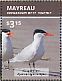 Caspian Tern Hydroprogne caspia  2015 Seabirds Sheet