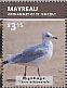 Ring-billed Gull Larus delawarensis  2015 Seabirds Sheet