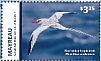 Red-billed Tropicbird Phaethon aethereus