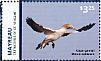 Cape Gannet Morus capensis  2015 Seabirds Sheet