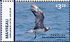 Pomarine Jaeger Stercorarius pomarinus  2015 Seabirds Sheet