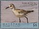 American Golden Plover Pluvialis dominica  2018 Seabirds Sheet