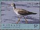 Lesser Yellowlegs Tringa flavipes  2018 Seabirds Sheet