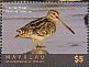 Common Snipe Gallinago gallinago  2018 Seabirds Sheet