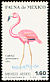 American Flamingo Phoenicopterus ruber  1980 Mexican fauna 
