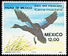 Muscovy Duck Cairina moschata  1984 Mexican fauna 