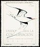 Elegant Tern Thalasseus elegans  1990 Conservation of Rasa Island 