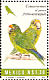 Orange-fronted Parakeet Eupsittula canicularis  1994 Nature conservation 24v sheet