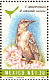 Northern Mockingbird Mimus polyglottos  1994 Nature conservation 24v sheet