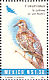 White-winged Dove Zenaida asiatica  1994 Nature conservation 24v sheet