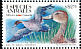 Northern Pintail Anas acuta  1995 Animals 4v strip