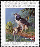 Harpy Eagle Harpia harpyja  1999 Conservation 