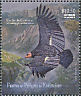 California Condor Gymnogyps californianus  2009 Endangered animals 