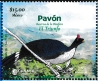 Horned Guan Oreophasis derbianus  2025 Nature reserves 3v set