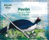 Horned Guan Oreophasis derbianus  2025 Nature reserves 3v sheet