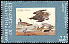 American Golden Plover Pluvialis dominica  1985 Audubon 