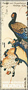 Green Pheasant Phasianus versicolor  1989 Hiroshige  MS