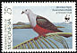 Micronesian Imperial Pigeon Ducula oceanica  1990 WWF 