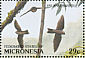 Island Swiftlet Aerodramus inquietus  1991 Pohnpei rain forest 18v sheet