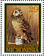 Short-eared Owl Asio flammeus  1994 Migratory birds 