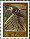 Pacific Long-tailed Cuckoo Urodynamis taitensis  1994 Migratory birds 