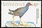 Purple Gallinule Porphyrio martinica  2001 Birds 