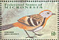 Australian Logrunner Orthonyx temminckii  2001 Birds Sheet