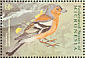 Common Chaffinch Fringilla coelebs  2001 Birds Sheet