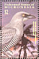 Barred Cuckooshrike Coracina lineata  2001 Birds  MS