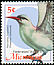 Red-tailed Tropicbird Phaethon rubricauda  2002 Definitives 