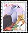 Micronesian Imperial Pigeon Ducula oceanica