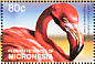 American Flamingo Phoenicopterus ruber  2003 Birds Sheet