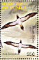 Brown Booby Sula leucogaster  2004 Birds of the Pacific Sheet