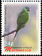 Slaty-headed Parakeet Psittacula himalayana  2006 Birds 