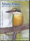 Sacred Kingfisher Todiramphus sanctus  2009 Birds of the Pacific 