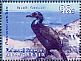 Brandt's Cormorant Urile penicillatus  2009 Birds of the Pacific Sheet