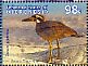 Beach Stone-curlew Esacus magnirostris