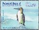 Blue-footed Booby Sula nebouxii  2009 Birds of the Pacific Sheet
