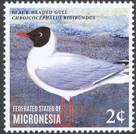 Birds on stamps: Micronesia Text only, with links to images