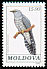 Common Cuckoo Cuculus canorus  1992 Birds 