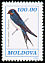 Barn Swallow Hirundo rustica  1993 Birds 