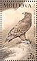Tawny Eagle Aquila rapax  2003 Red Book of Moldova Sheet
