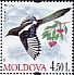 Eurasian Magpie Pica pica  2010 Birds 