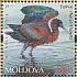Glossy Ibis Plegadis falcinellus  2011 Red Book of Moldova Sheet