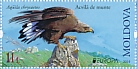 Golden Eagle Aquila chrysaetos  2019 Europa Booklet